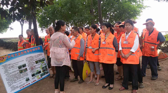 中国·芦淞政府门户网站-芦淞区玉禾田清洁公