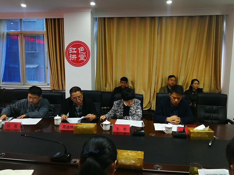 区委巡察办主任王芳作总结发言