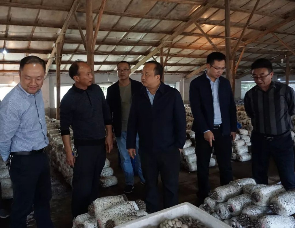 微信图片_20181106165446