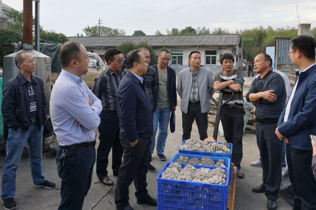 微信图片_20181106165444