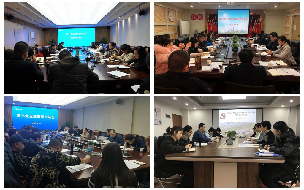 各党支部召开组织生活会