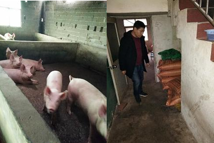 微信截图_20190221143256