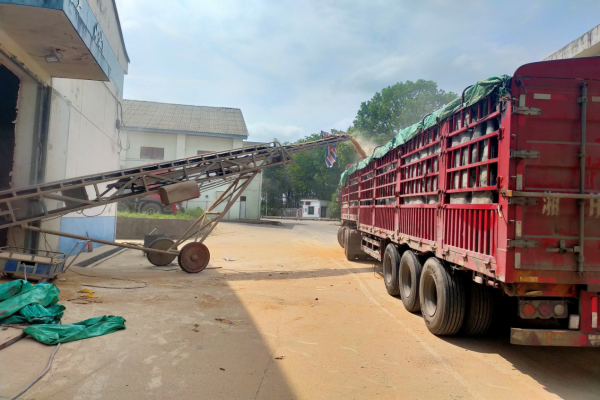 WPS图片-修改尺寸