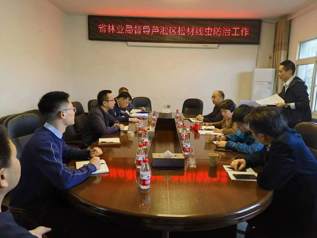 省林业局领导赴白关督导松材线虫病防治工作