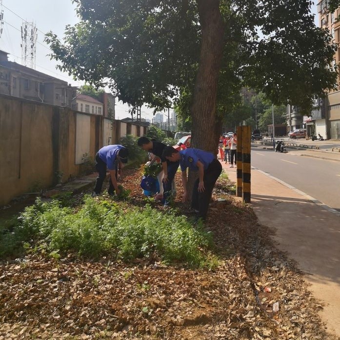 微信图片_20230509114056_看图王