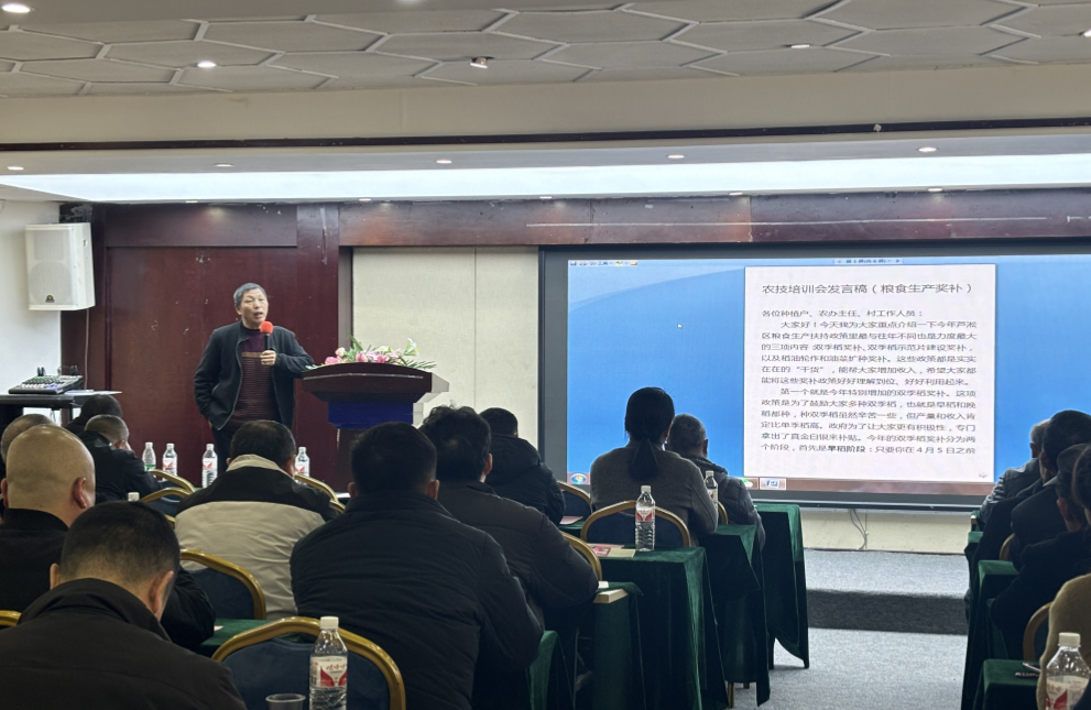 微信图片_20250304093115