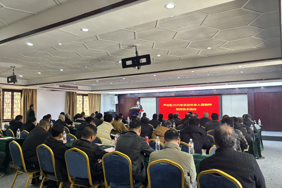 微信图片_20250304093031