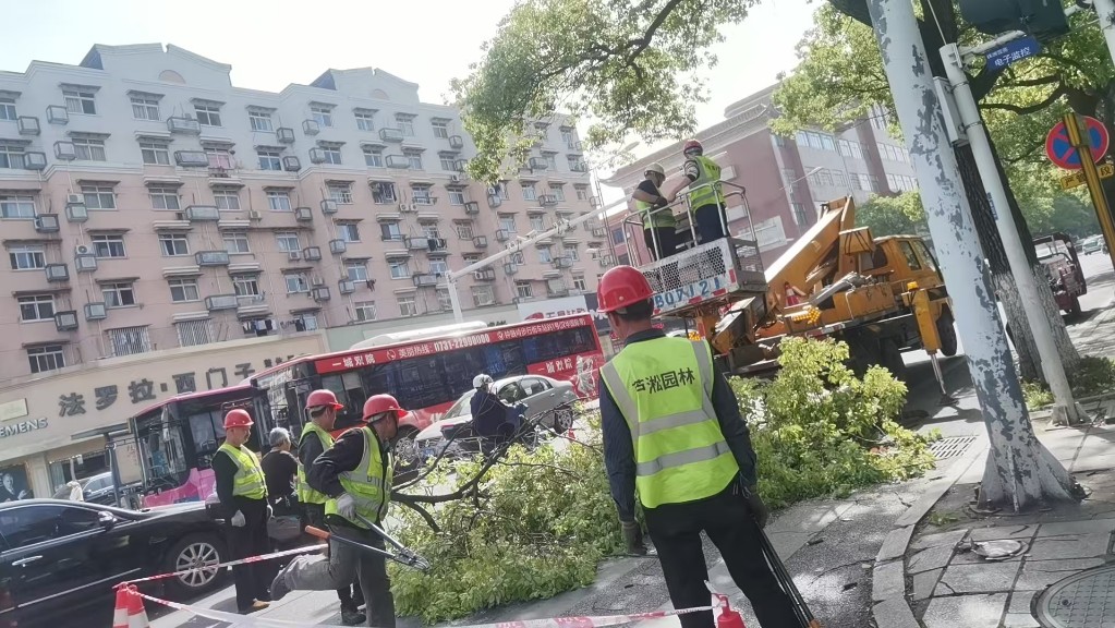 微信图片_20250416102138