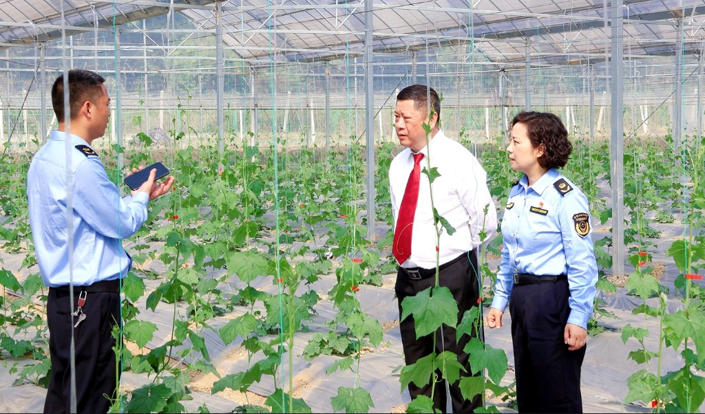 1812ce036695da23a3abd70a6ff504d