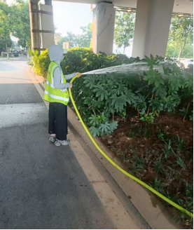 微信图片_202507101547071