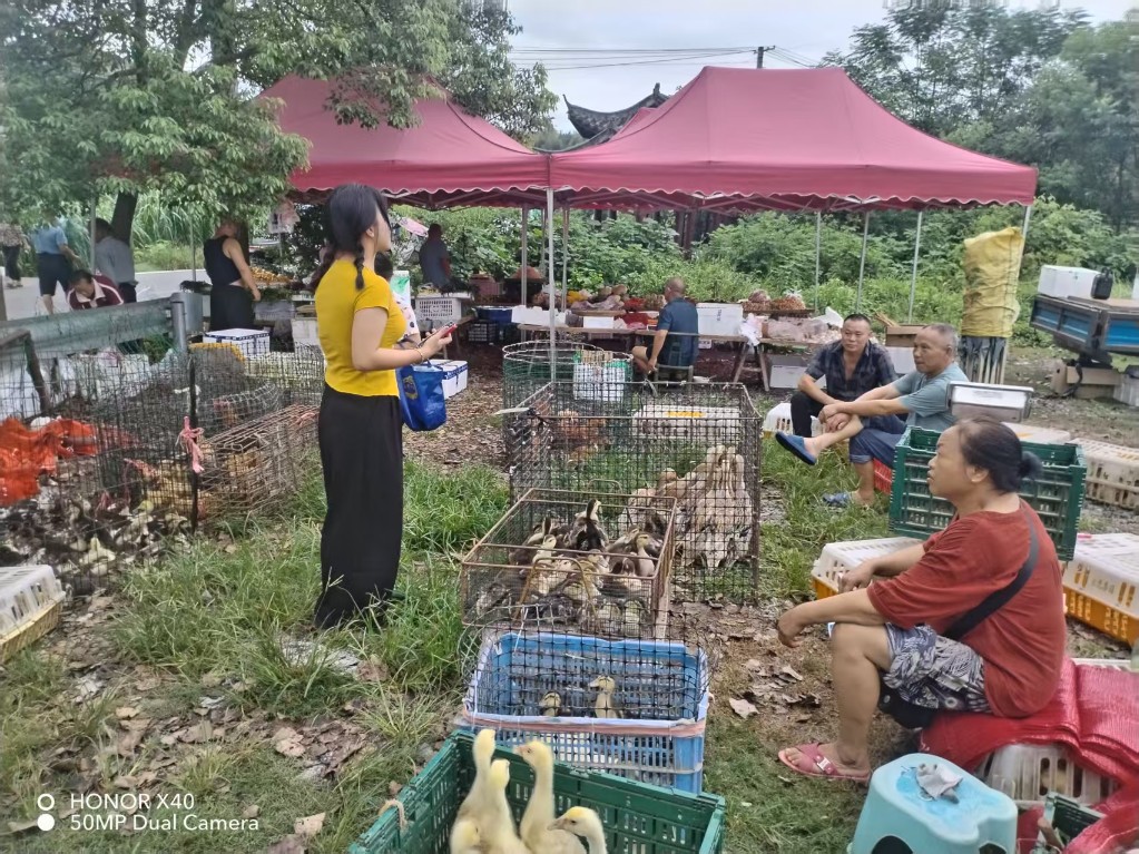 微信图片_20250813171316