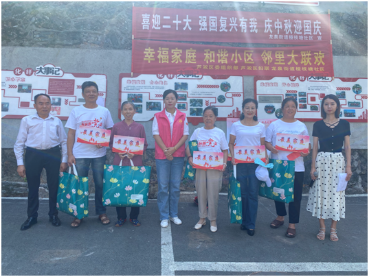 芦淞区妇联贯彻落实“幸福家庭、和谐小区”主题活动小结