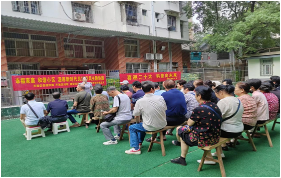 芦淞区妇联贯彻落实“幸福家庭、和谐小区”主题活动小结